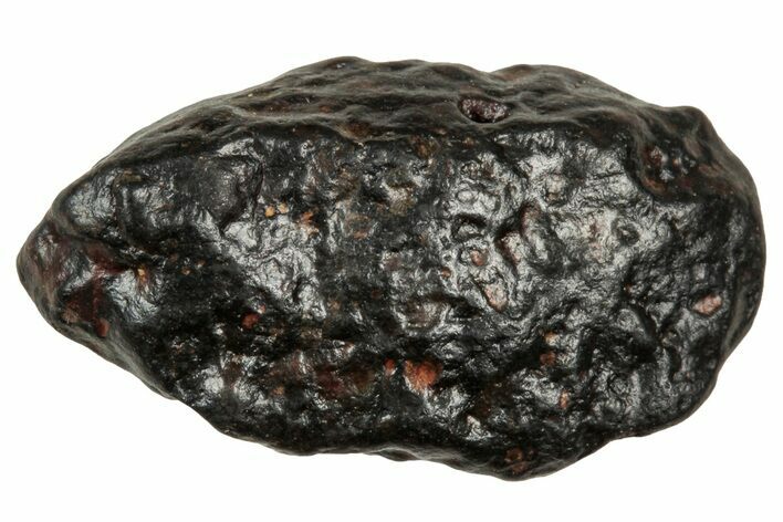 Carbonaceous Chondrite Meteorite ( g) - NWA #334482